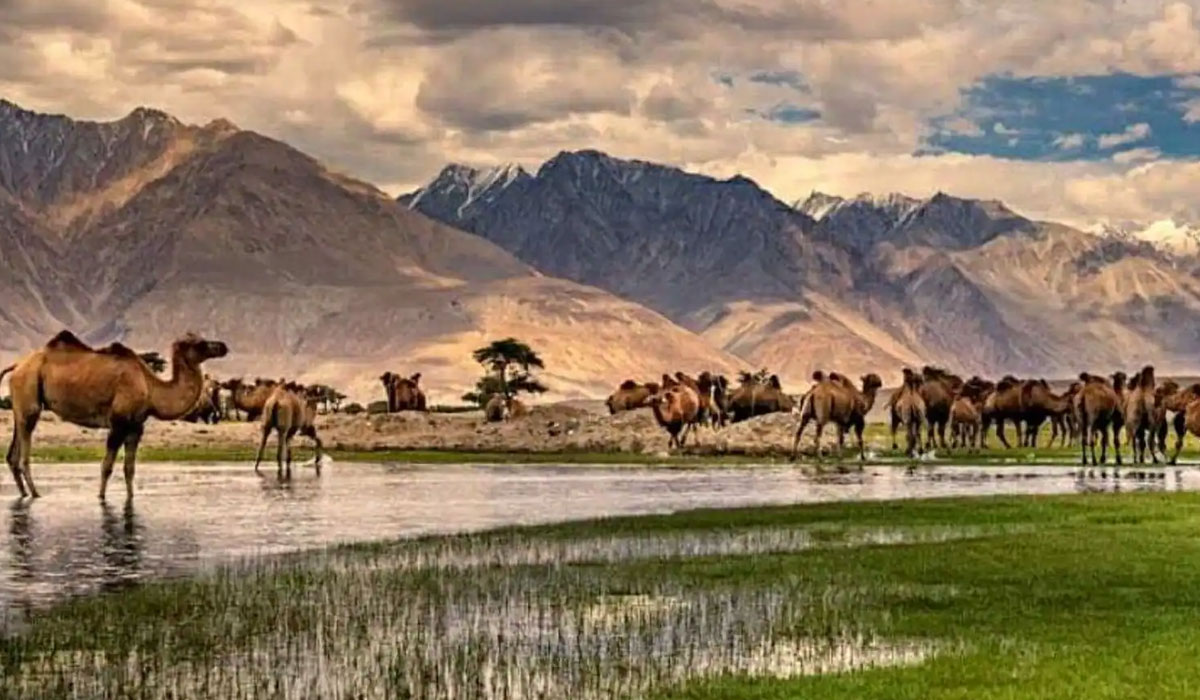 Ladakh Package